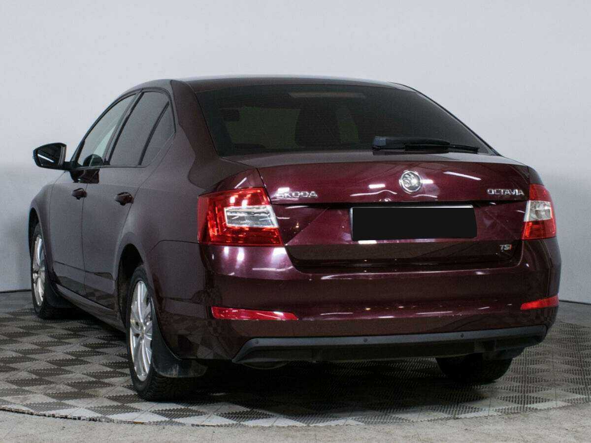Skoda Octavia с пробегом — 2013 год. Фото: #6