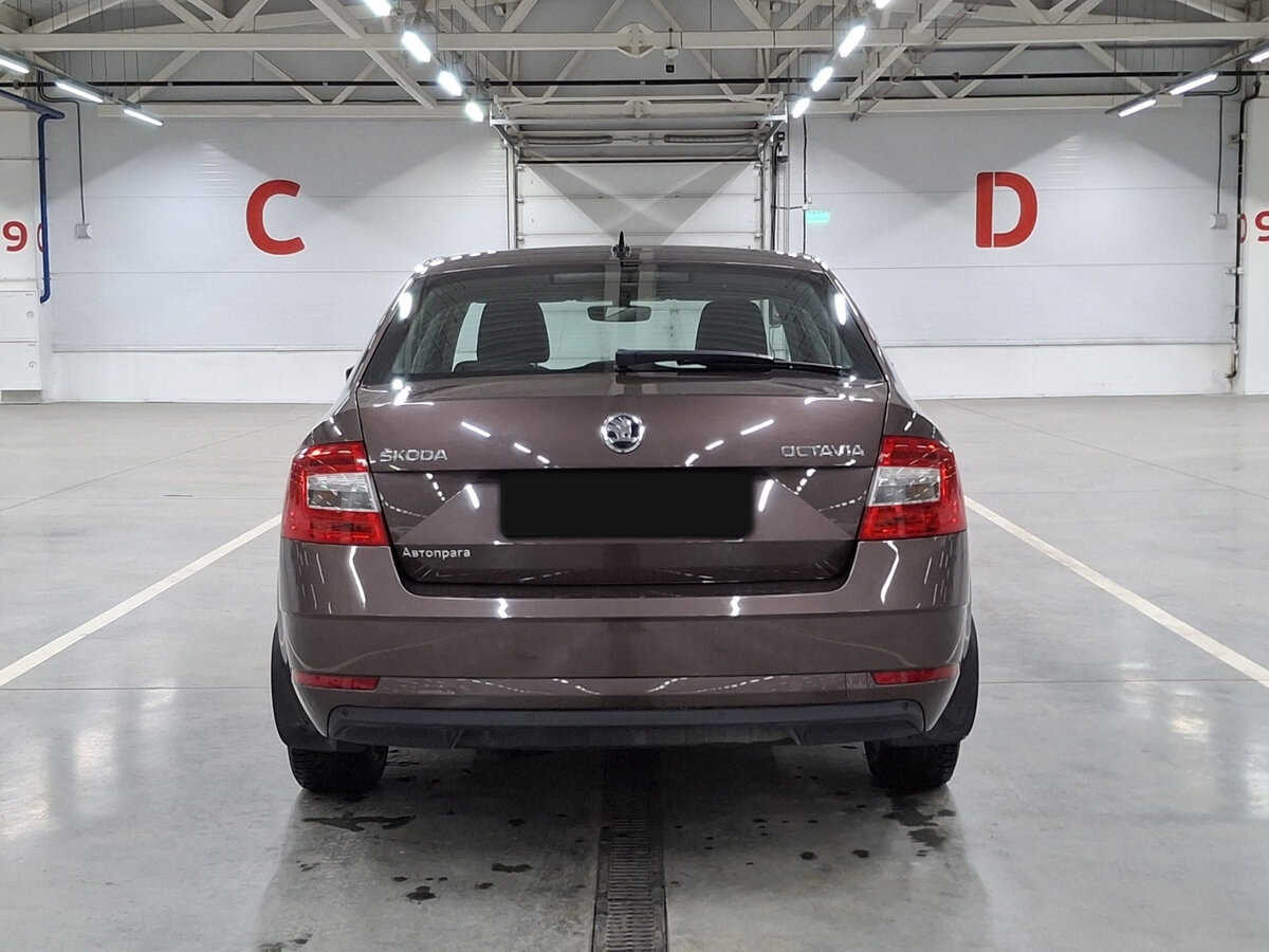 Skoda Octavia с пробегом — 2020 год. Фото: #5