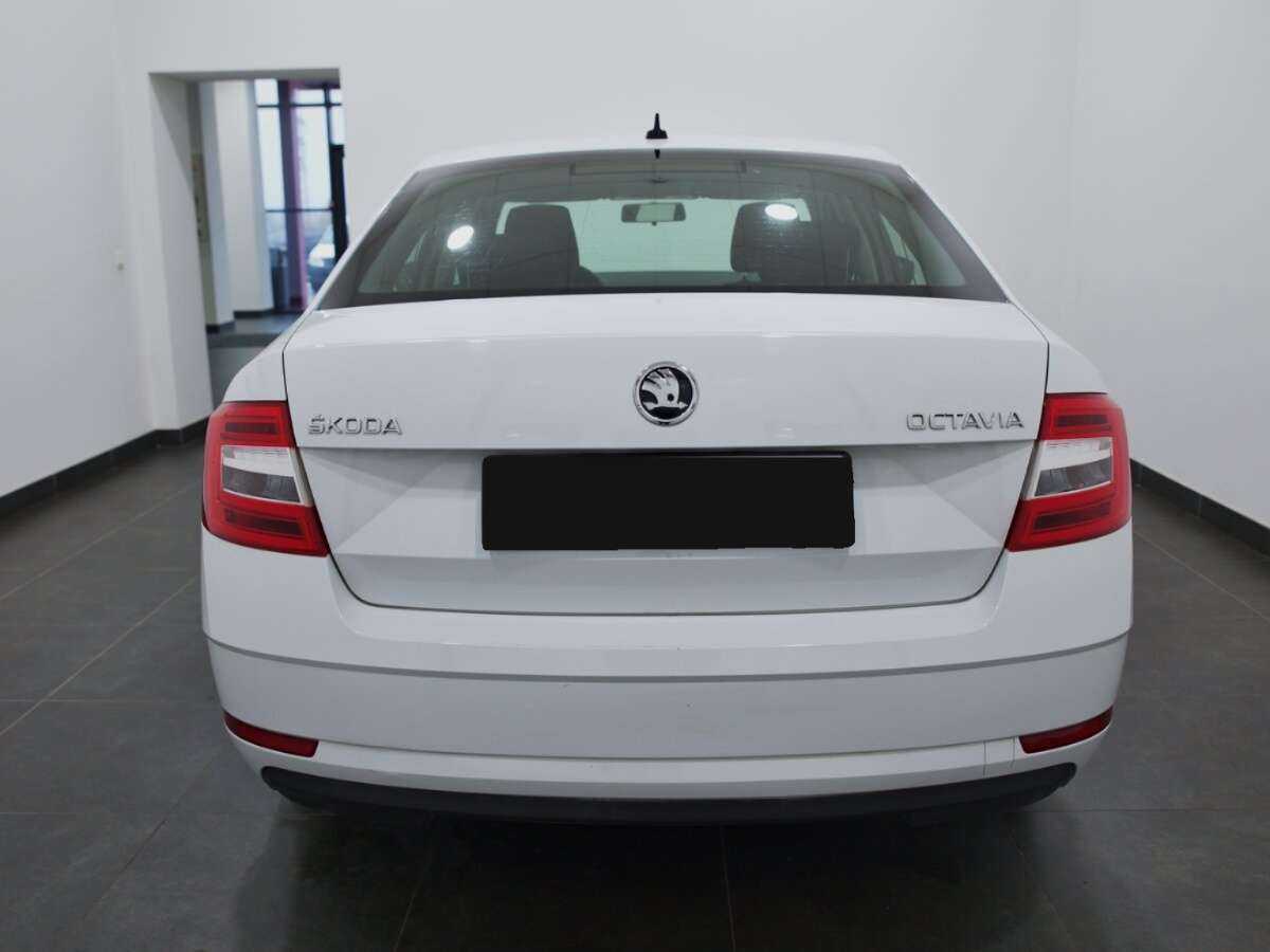 Skoda Octavia с пробегом — 2019 год. Фото: #3